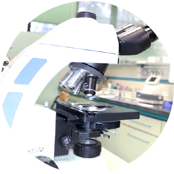 laboratorio